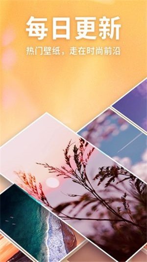 靈貓主題壁紙免費版下載