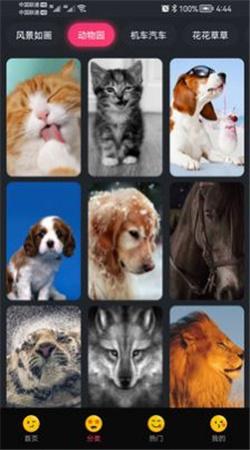 輕甜心手機版下載