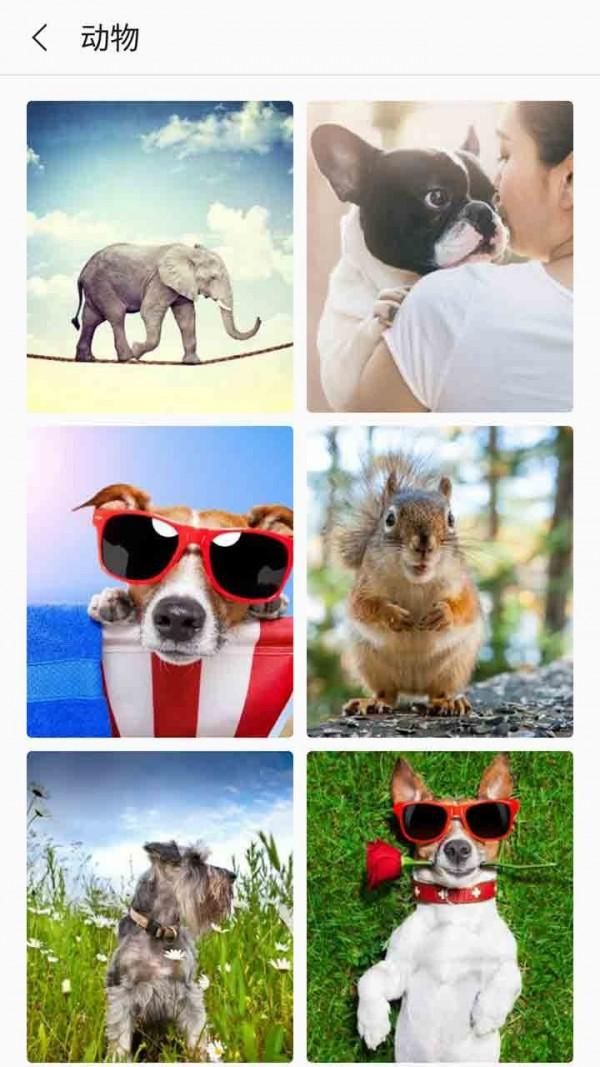 芒果壁紙手機(jī)版下載