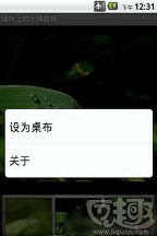 綠葉上的水珠主題壁紙手機(jī)版下載